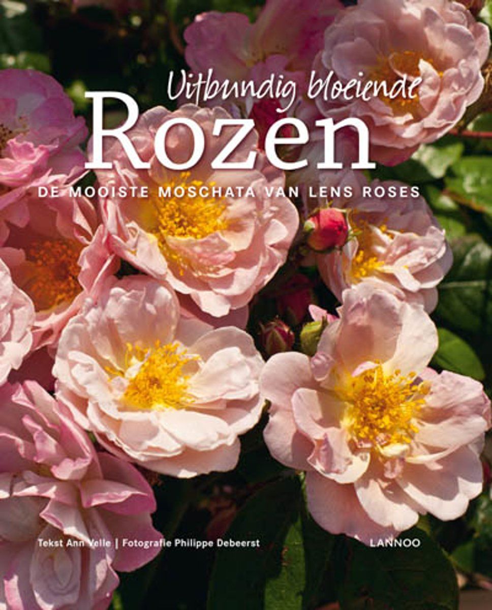 Odoo - Voorbeeld 1 voor drie kolommen
