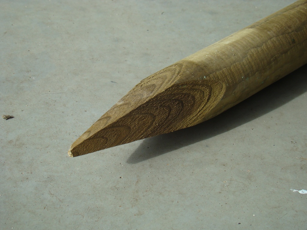 Zoom punt