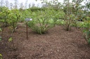Humicover Professional - Afstrooimiddel (80L / 1.5m²)