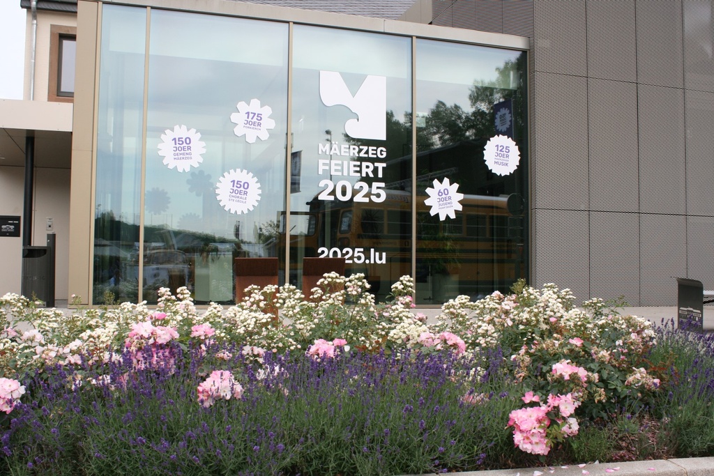 ARose4All